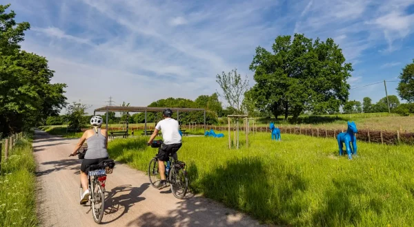 Zwei Radfahrer fahren auf einem schmalen Weg durch eine grüne Landschaft, umgeben von Bäumen und Wiesen. Im Hintergrund sind blaue Skulpturen zu sehen, die wie Tiere wirken, unter einem klaren Himmel.